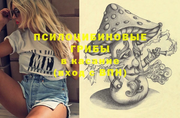 MESCALINE Няндома