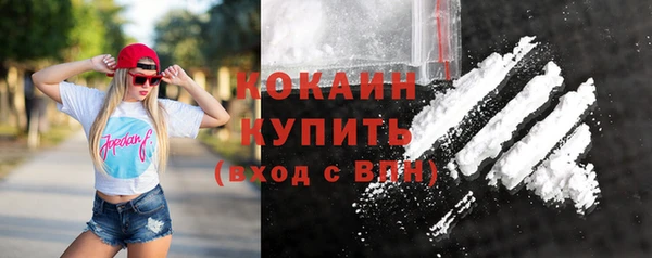 spice Новозыбков