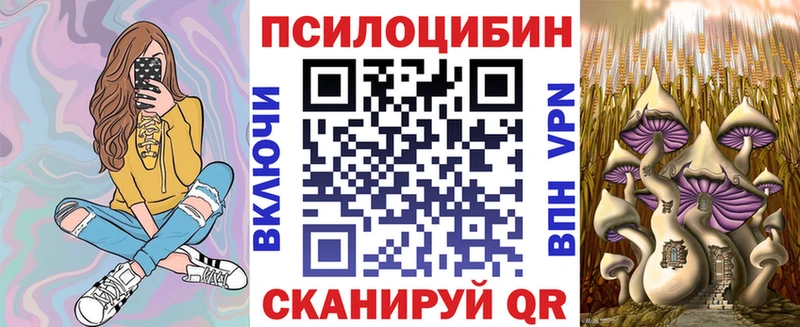 как найти закладки Тайга Псилоцибиновые грибы Psilocybine cubensis